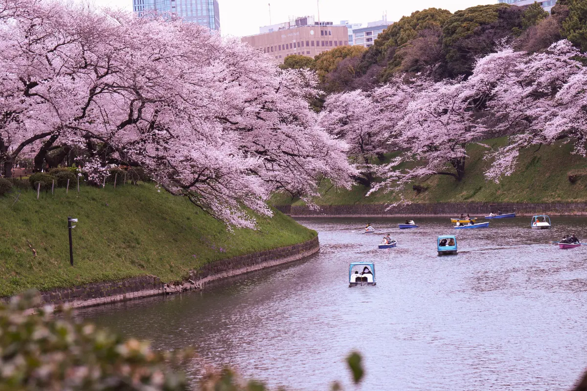 Shinjuku Gyoen National Garden - Japan