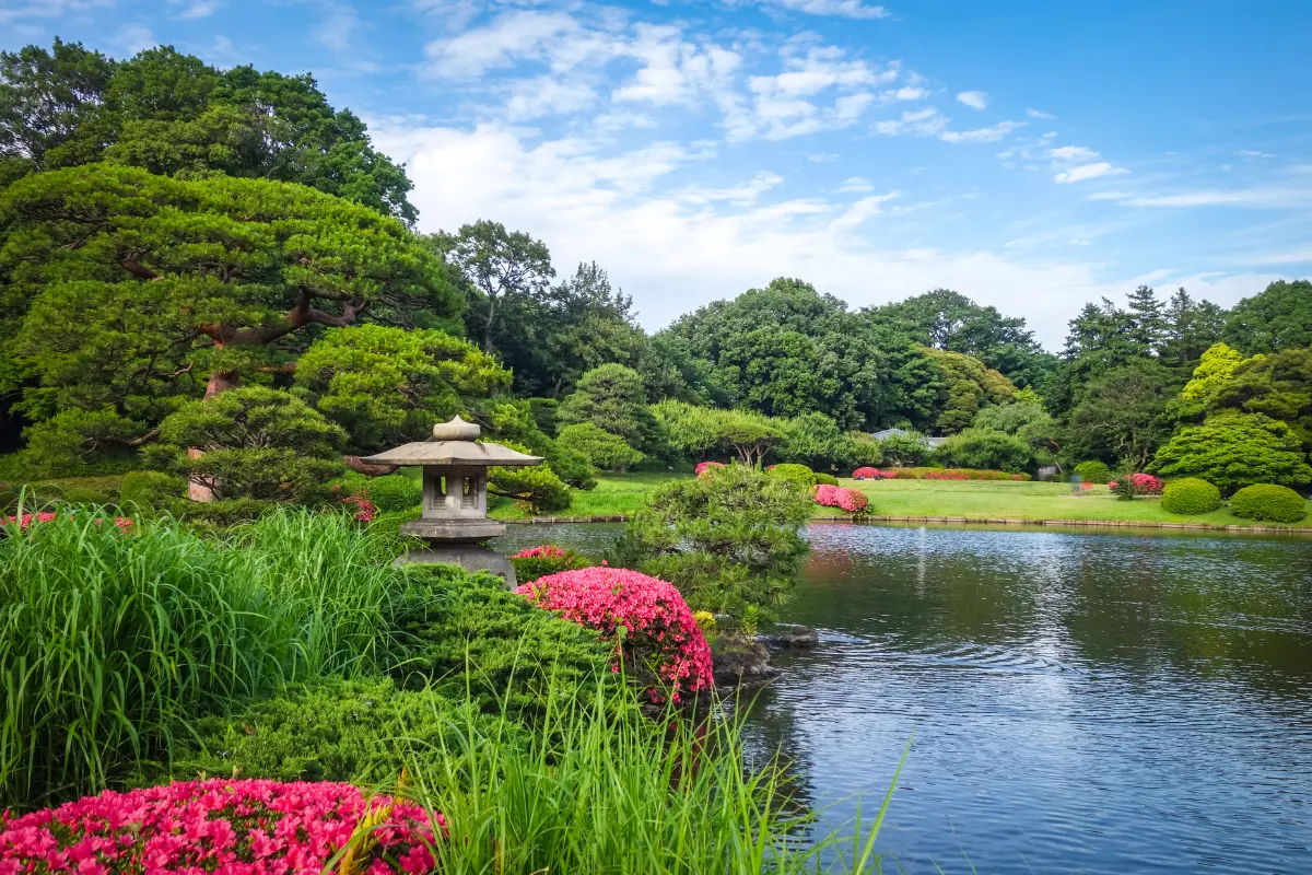 Shinjuku Gyoen National Garden - Japan