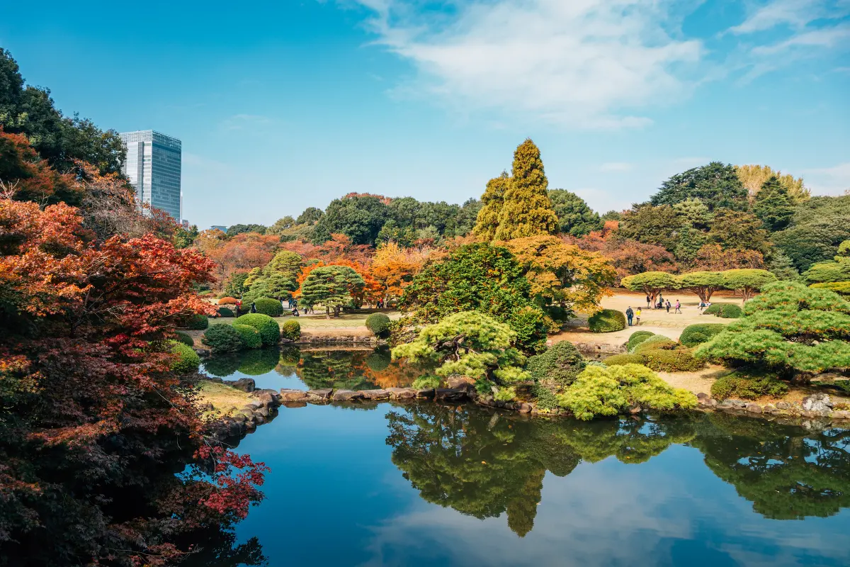 Shinjuku Gyoen National Garden - Japan