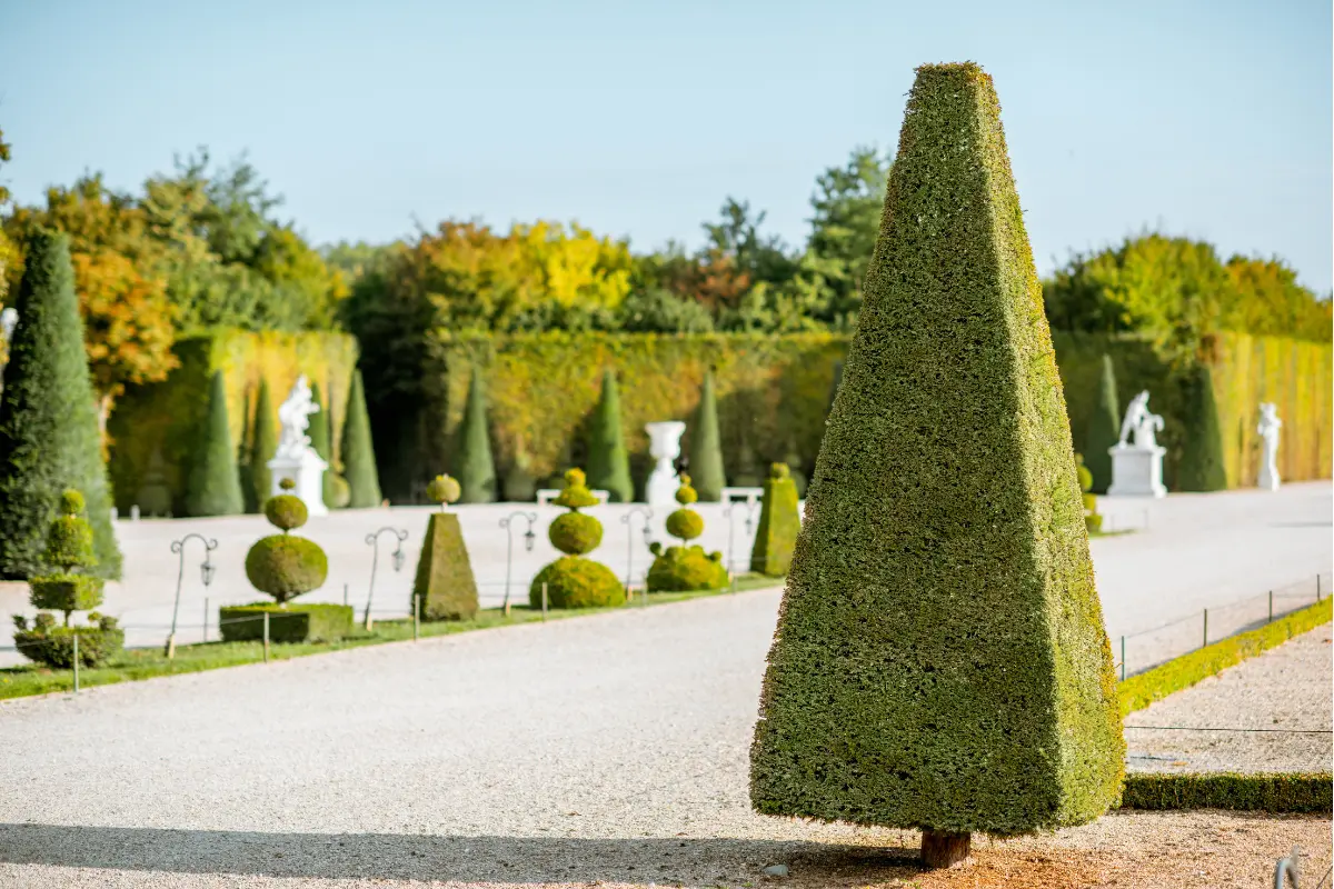 The Palace of Versailles Garden - France (3)